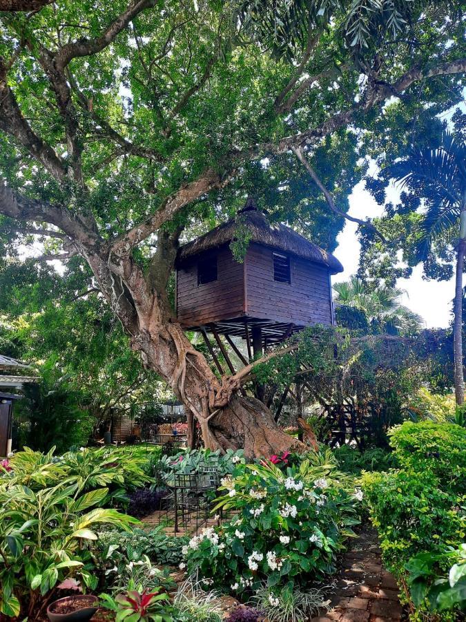 Tree Lodge Mauritius Belle Mare Luaran gambar