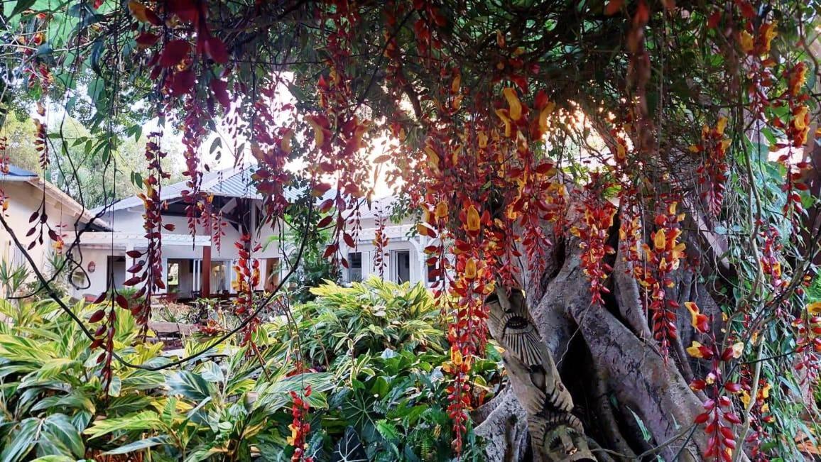 Tree Lodge Mauritius Belle Mare Luaran gambar