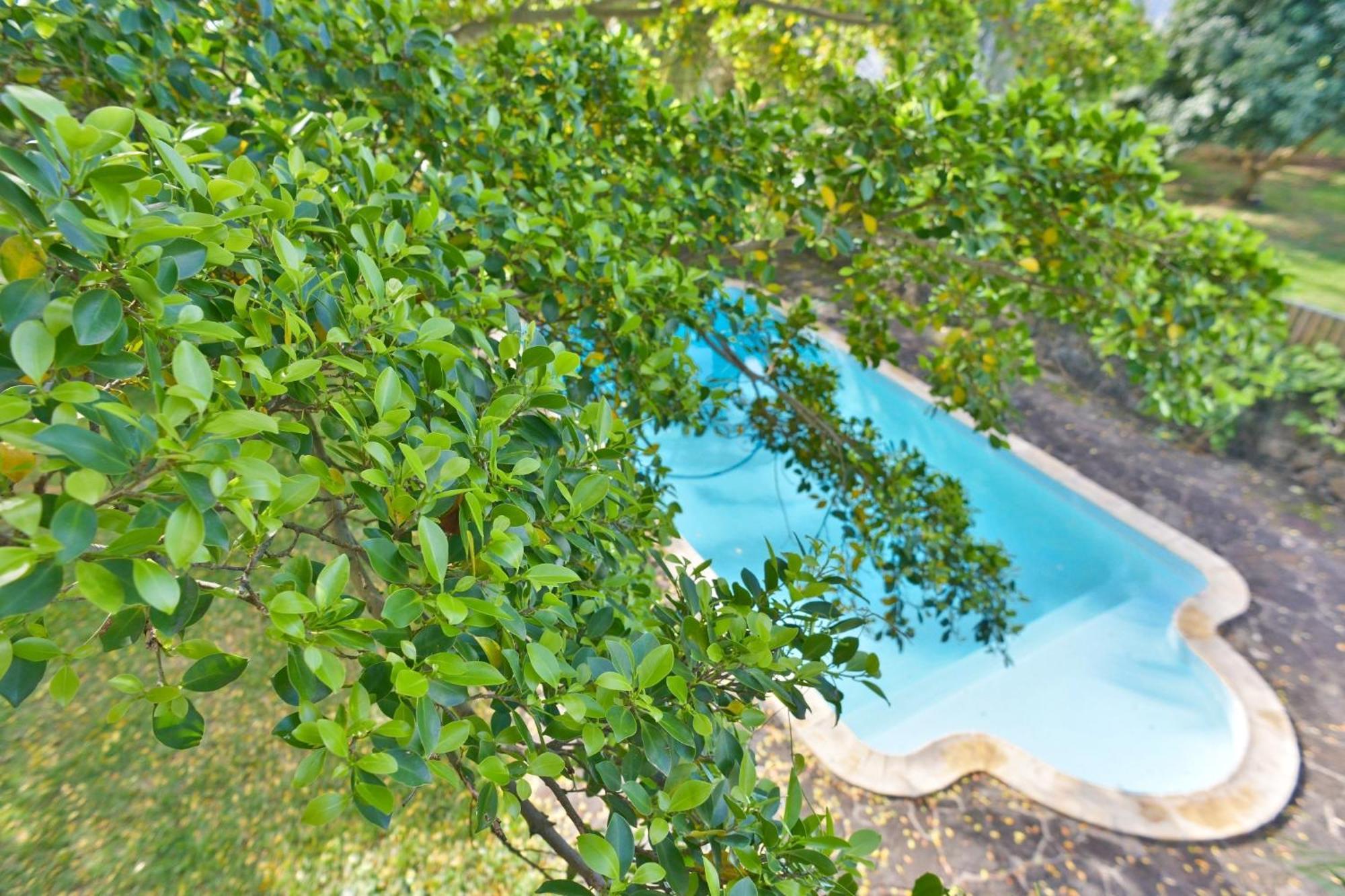 Tree Lodge Mauritius Belle Mare Luaran gambar